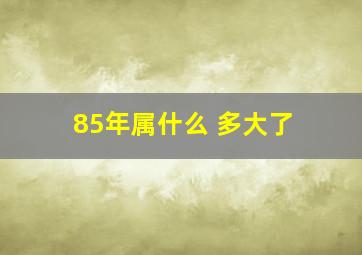 85年属什么 多大了